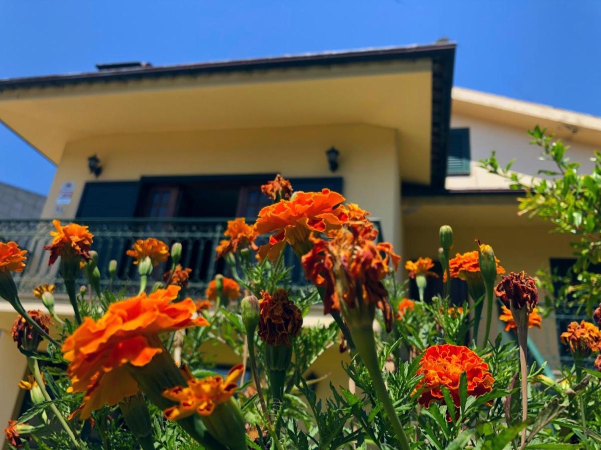 Casa Sao Simao Villa Barcelos Exterior photo